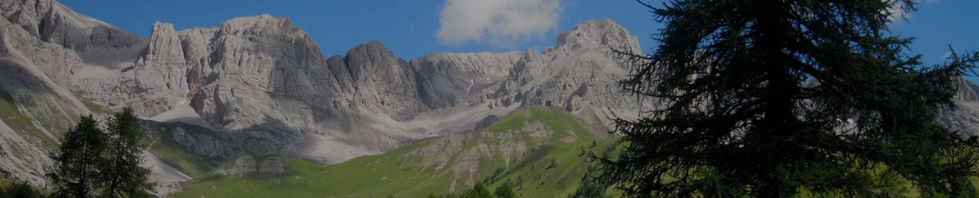 hotel dolomiti caverson